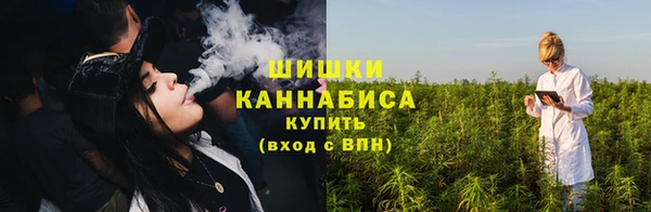 прущие грибы Алзамай