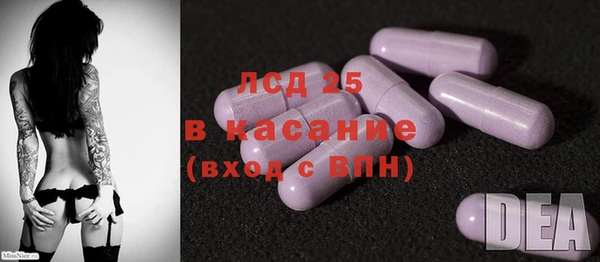 прущие грибы Алзамай