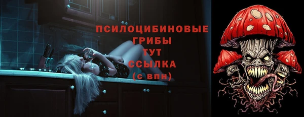прущие грибы Алзамай