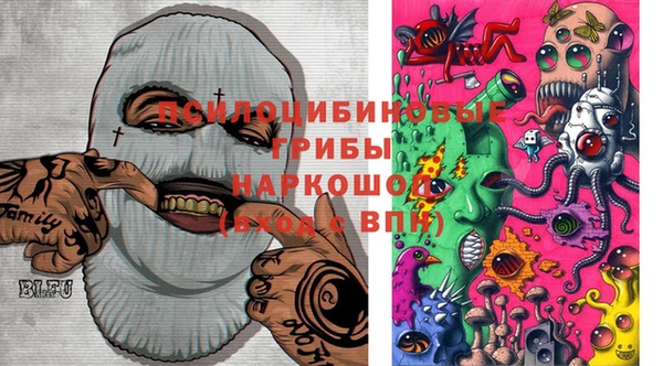 стаф Алексин