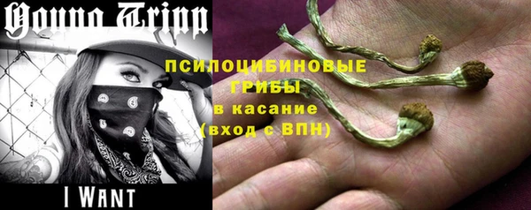 прущие грибы Алзамай
