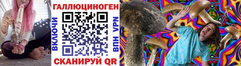 где продают наркотики Разумное Псилоцибиновые грибы мицелий
